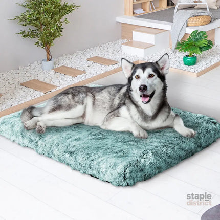PaWz Dog Mat Pet Calming Bed Memory XL Green X-Large-2029387228777680903