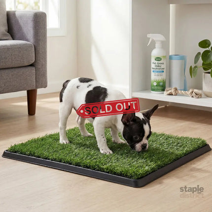 Pawz Dog Potty Tray with Grass Mat Washable Puppy Portable Training Toilet-2050059018050867207