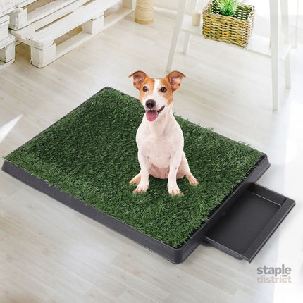 PaWz Indoor Dog Pet Grass Potty Training-2006732965022928902