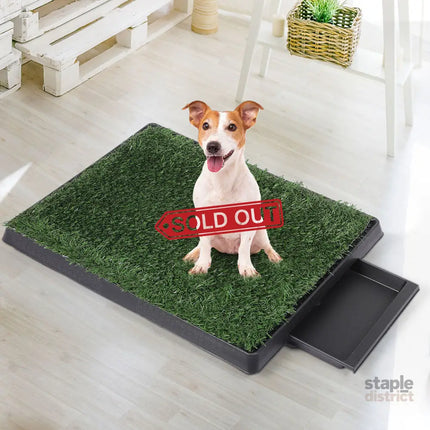 PaWz Indoor Dog Pet Grass Potty Training-2006732965022928902