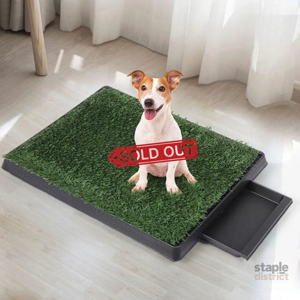 PaWz Indoor Dog Pet Grass Potty Training-2006732965022928903
