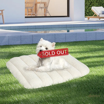 Pawz M Size Orthopedic Dog Bed with Sherpa Plush Removable Cover in White-2029387208892485639
