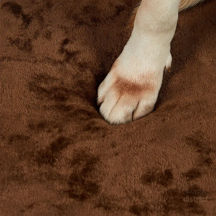 Pawz Orthopedic Dog Bed L Coffee-2018816791597420547