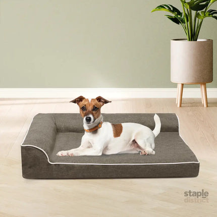 Pawz Orthopedic Dog Bed M Coffee-2018816743883018246