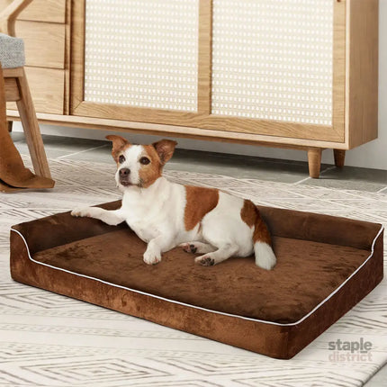 Pawz Orthopedic Dog Bed M Coffee-2018816734353559559