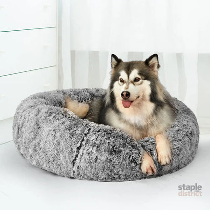 PaWz Pet Bed Cat Dog Donut Nest Calming L Charcoal Large-2018816778347614215