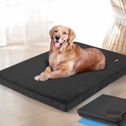 PaWz Pet Bed Foldable Dog Puppy Beds Black Large-2029387264580259846