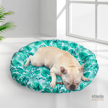 PaWz Pet Cool Gel Mat Cat Bed Dog Bolster M Medium-2006732969041072134