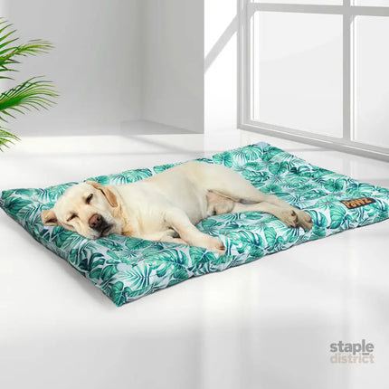 PaWz Pet Cool Gel Mat Cat Bed Dog Bolster M Medium-2029387225569038342