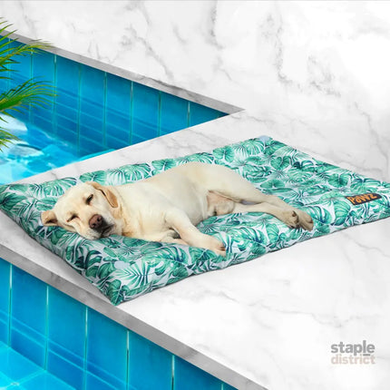 PaWz Pet Cool Gel Mat Cat Bed Dog Bolster M Medium-2029387225569038343