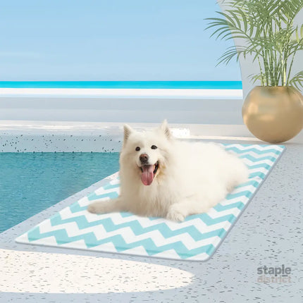 Pawz Pet Cooling Mat L Blue-2018816715680518150
