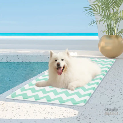 Pawz Pet Cooling Mat L Green-2029387201267240966
