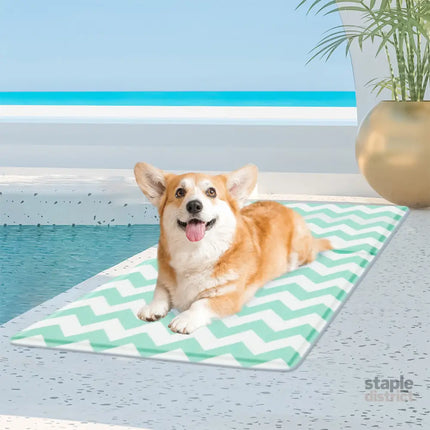 Pawz Pet Cooling Mat M Green-2006732883783454726