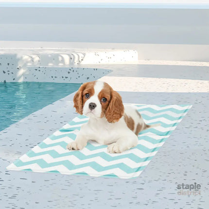 Pawz Pet Cooling Mat S Blue-2006732884131581958