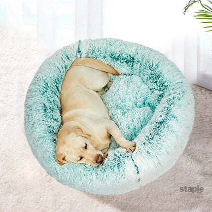 PaWz Replaceable Cover For Dog Calming M Teal Cover Medium-2006732953996103685