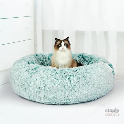 PaWz Replaceable Cover For Dog Calming XL Teal Cover X-Large-2029387223736127495