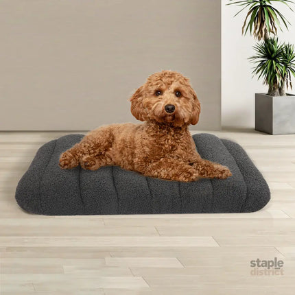 Pawz S Size Orthopedic Dog Bed with Sherpa Plush Removable Cover in Grey-2006732709472374790