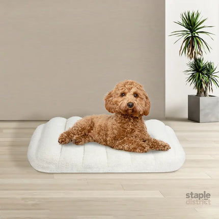 Pawz S Size Orthopedic Dog Bed with Sherpa Plush Removable Cover in White-2018816662094090246
