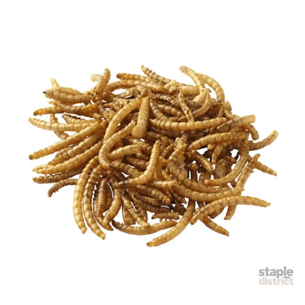 Peters Wormies 40g x10-2050056872597262339