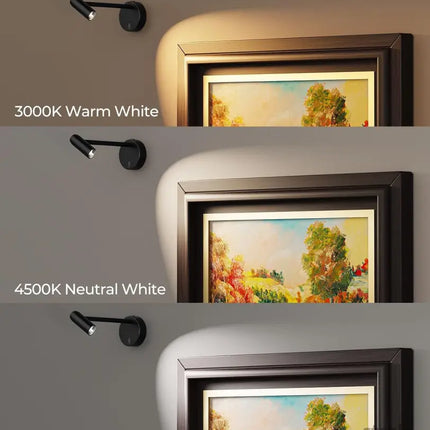Picture Light for Wall Battery Operated Art Light for Paintings CCT Dimmable Recharging Gallery Battery Wall Light with