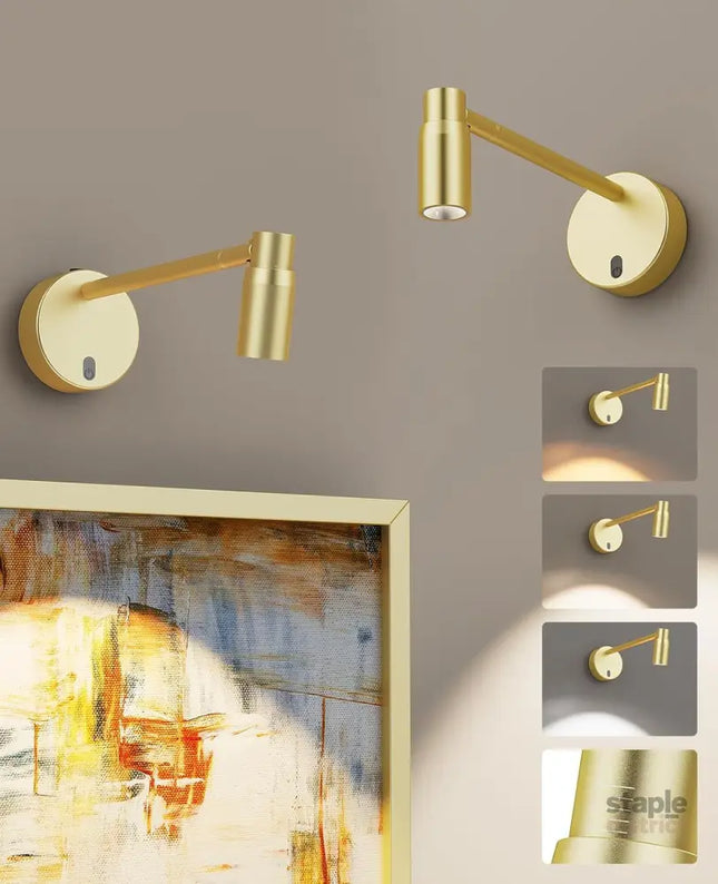 Picture Light for Wall Battery Operated Art Light for Paintings CCT Dimmable Spotlight for Wall Art Wall Light with