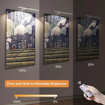 Picture Lights for Wall Plug in or Hardwired,3000K Warm White Dart Board Lights with Remote,13.5inches Silver LED Art