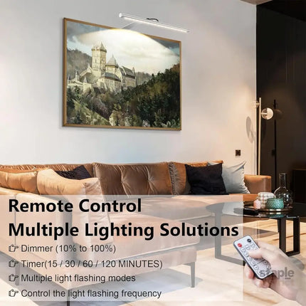 Picture Lights for Wall Plug in or Hardwired,3000K Warm White Dart Board Lights with Remote,13.5inches Silver LED Art