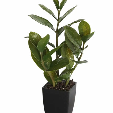 Potted Zanzibar 46cm - Appliances > Kitchen Appliances > Cooking Ranges