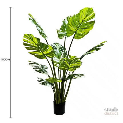 Premium Artificial Potted Monstera Albo 150cm - Appliances > Kitchen Appliances > Cooking Ranges
