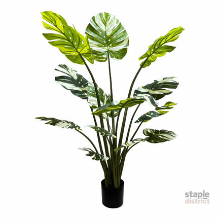 Premium Artificial Potted Monstera Albo 150cm - Appliances > Kitchen Appliances > Cooking Ranges