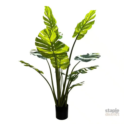 Premium Artificial Potted Monstera Albo 150cm - Appliances > Kitchen Appliances > Cooking Ranges