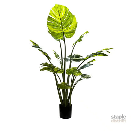 Premium Artificial Potted Monstera Albo 150cm - Appliances > Kitchen Appliances > Cooking Ranges