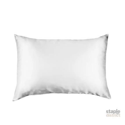 Pure Silk Pillow Case by Royal Comfort-Silver-1951134813960409089
