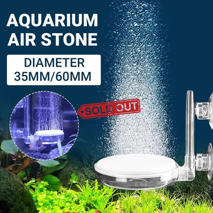 Quiet Bubble Stone Aerator Head Fish Tank Oxygen Pump Nano Air Disc Atomizer - Diameter 35MM - Appliances > Aroma