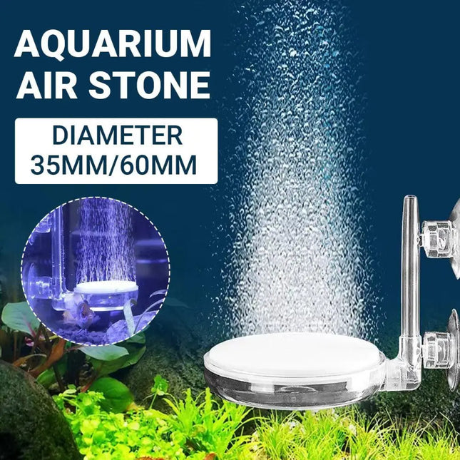 Quiet Bubble Stone Aerator Head Fish Tank Oxygen Pump Nano Air Disc Atomizer - Diameter 60MM - Appliances > Aroma