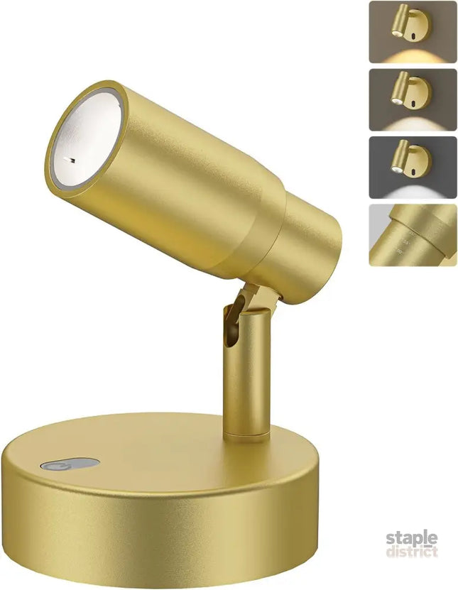 Spot Lights Indoor Rechargeable Picture Light with Remote Dimmable CCT Spotlight for Wall Art 6000mAh Battery Uplights