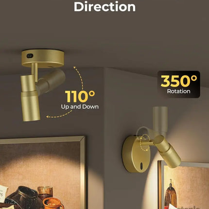 Spot Lights Indoor Rechargeable Picture Light with Remote Dimmable CCT Spotlight for Wall Art 6000mAh Battery Uplights