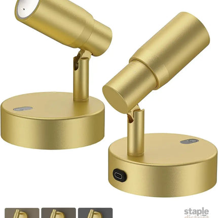 Spot Lights Indoor Rechargeable Picture Light with Remote Dimmable CCT Spotlight for Wall Art 6000mAh Battery Uplights