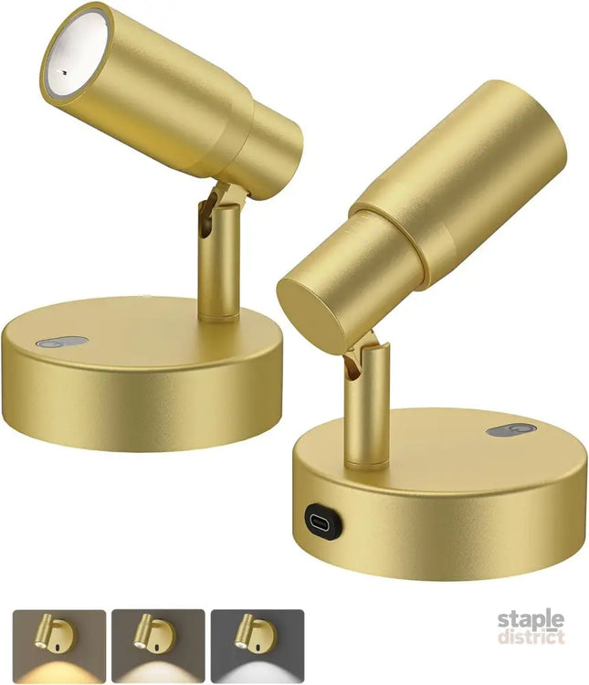 Spot Lights Indoor Rechargeable Picture Light with Remote Dimmable CCT Spotlight for Wall Art 6000mAh Battery Uplights