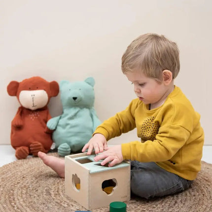 Trixie Wooden Shape Sorter-2006733457543270404