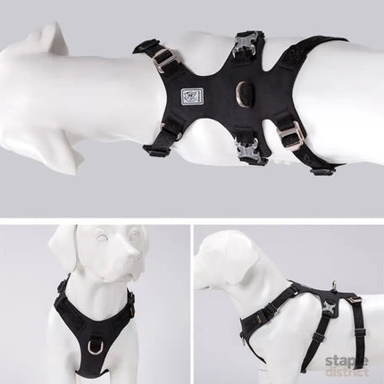Whinhyepet Dog Harness - Black, XL-1962324895018913795