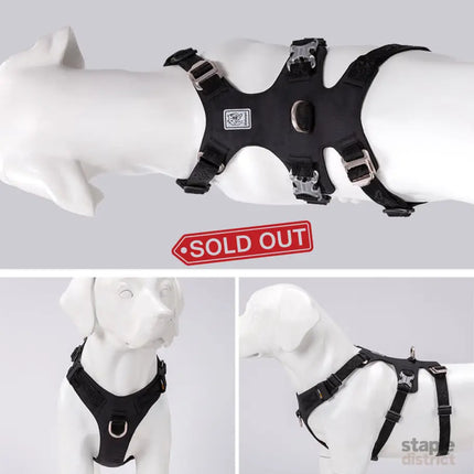 Whinhyepet Dog Harness - Black, XL-1962324895018913795