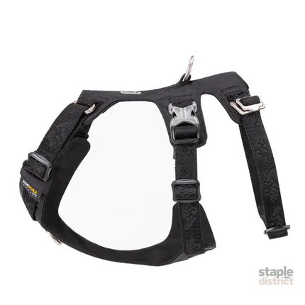 Whinhyepet Dog Harness - Black, XS-1962324894343630848