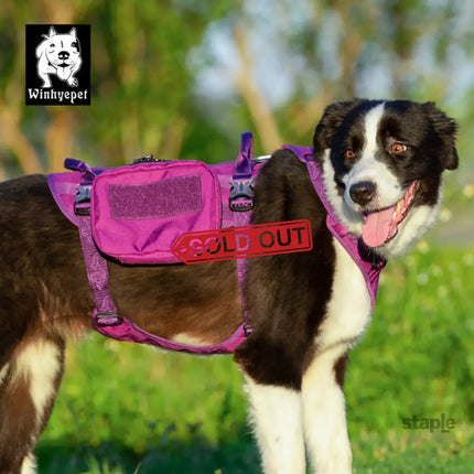 Whinhyepet Military Harness - Purple, M-1831155663376617475
