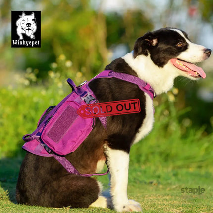 Whinhyepet Military Harness - Purple, M-1831155663376617476